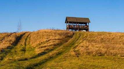 Syczeń 2020, Ciepła zima nad Biebrzą, Biebrzański Park Narodowy, Biebrza Podlasie, Polska © podlaski49