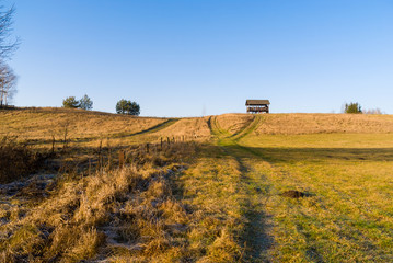 Syczeń 2020, Ciepła zima nad Biebrzą, Biebrzański Park Narodowy, Biebrza Podlasie, Polska © podlaski49