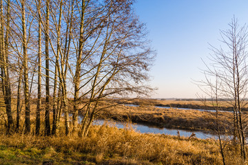 Syczeń 2020, Ciepła zima nad Biebrzą, Biebrzański Park Narodowy, Biebrza Podlasie, Polska © podlaski49