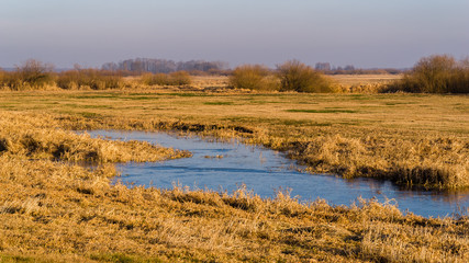 Syczeń 2020, Ciepła zima nad Biebrzą, Biebrzański Park Narodowy, Biebrza Podlasie, Polska © podlaski49