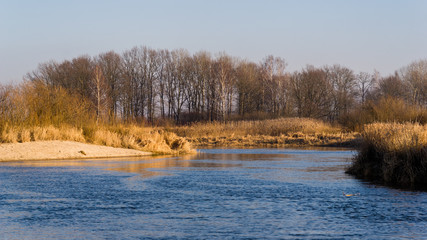 Syczeń 2020, Ciepła zima nad Biebrzą, Biebrzański Park Narodowy, Biebrza Podlasie, Polska © podlaski49