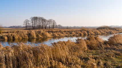 Syczeń 2020, Ciepła zima nad Biebrzą, Biebrzański Park Narodowy, Biebrza Podlasie, Polska © podlaski49