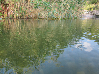Wadi Cana in Palestine