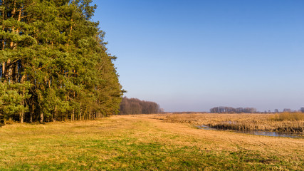 Syczeń 2020, Ciepła zima nad Biebrzą, Biebrzański Park Narodowy, Biebrza Podlasie, Polska © podlaski49