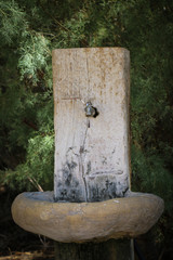 Ain Al-Fashkha Reserve in Jericho Palestine