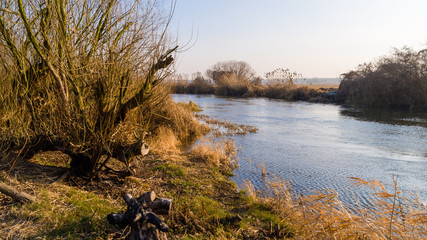 Syczeń 2020, Ciepła zima nad Biebrzą, Biebrzański Park Narodowy, Biebrza Podlasie, Polska © podlaski49
