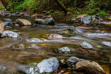 Naklejka na ściany i meble Smooth water flows around rocks in Sonoma Creek at Sugarloaf Ridge State park in Kenwood California