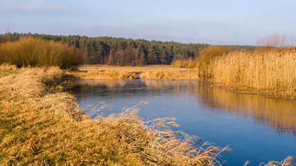 Syczeń 2020, Ciepła zima nad Biebrzą, Biebrzański Park Narodowy, Biebrza Podlasie, Polska © podlaski49