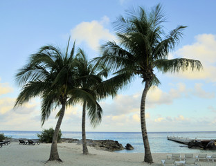 Views of the beaches of Cozumel, Mexico 