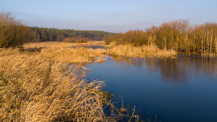 Syczeń 2020, Ciepła zima nad Biebrzą, Biebrzański Park Narodowy, Biebrza Podlasie, Polska © podlaski49