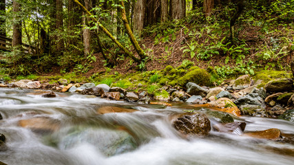 Long exposure makes the water of Sonoma Creek white and fluffy at Sugarloaf Ridge State park in Kenwood California