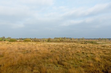 dutch landscape
