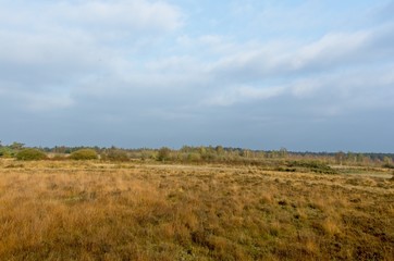 Obraz premium dutch landscape