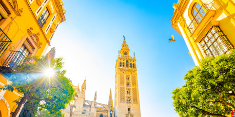 Fototapeta premium Summer Seville street and Giralda tower