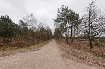 Fototapeta na wymiar dutch landscape