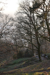 Heidelberg, Altstadt