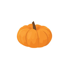 Isolated pumpkin vector illustration on white background