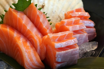 Closeup Piece of Raw Salmon Fresh - Japanese food