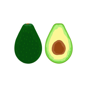 Isolated avocado illustration on white background