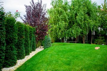 Lawn at the house. Elements of architecture. Exclusive project. Blue sky. Sunny summer day