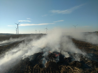 Fire in a field. Agriculture disaster. Land destruction.