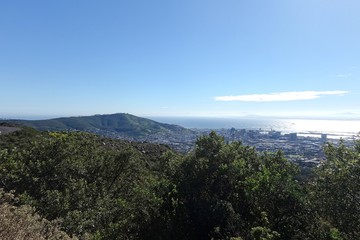 view in cape town