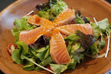  Japanese food scene of closeup salmon salad