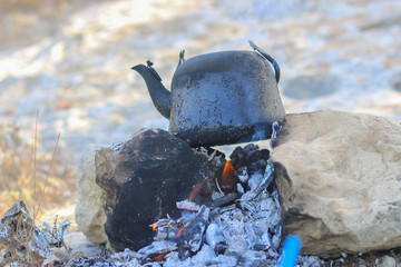 A teapot on the Firewood in nature