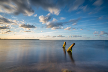 Old wooden piles on the beach.Baltic Sea, Rewa, Poland