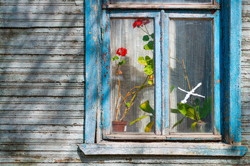 Dark old wood log wall of house