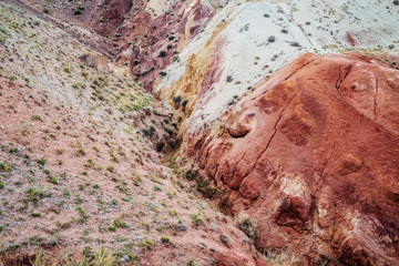 Red slopes of the Altai 