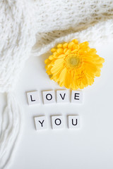 cute composition on the theme of Valentine's Day declaration of love: the inscription I love you on a light background with a yellow flower and a white fluffy scarf