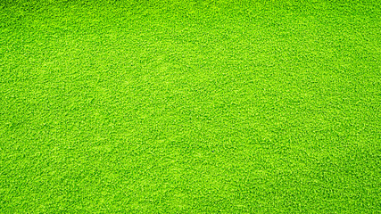 Green background with a fluffy texture