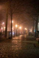 Fototapeta na wymiar Straße, Alee im Nebel, Lichtstimmung