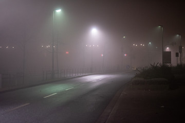 Straße, Alee im Nebel, Lichtstimmung