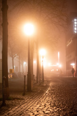 Stra&szlig;e, Alee im Nebel, Lichtstimmung