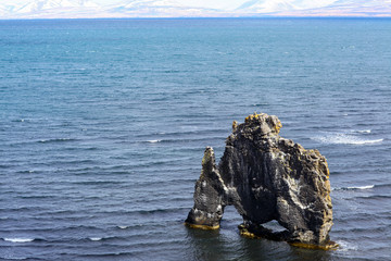 Hvitserkur troll rock basalt stack in Iceland