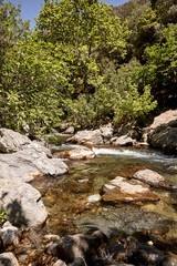 Naklejka na ściany i meble mountain stream in the forest