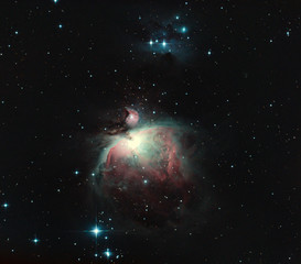 The orion nebula