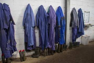 working form of livestock farm workers in the Netherlands is a blue uniform and rubber boots. The form hangs in a row on a hanger on a white wall.