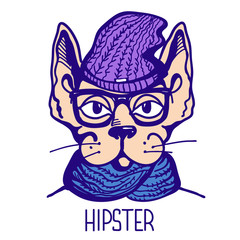 Cat hipster style. Vector printable cat handdrawn illustration isolated on white. Cat hipster fashion style wear in glasses and knitted clothes