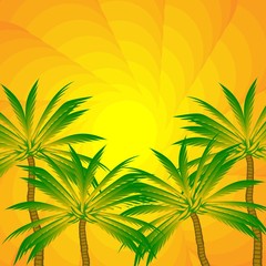 Fototapeta na wymiar landscape of the tropics. palm trees against the bright evening sun. sunset. color vector graphics. poster, cover, banner, sticker. the orange-and-green background. wallpaper