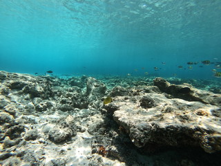 Fototapeta na wymiar view of sea and coral reef