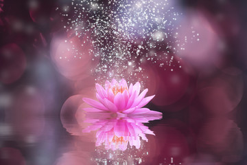 Abstract background with lotus flower