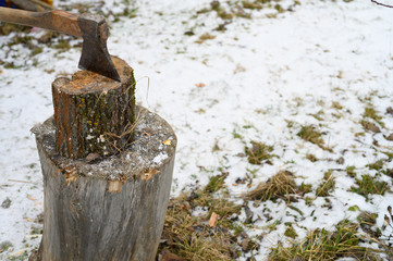 An old ax with an wooden handle sticks out in a cloven stump