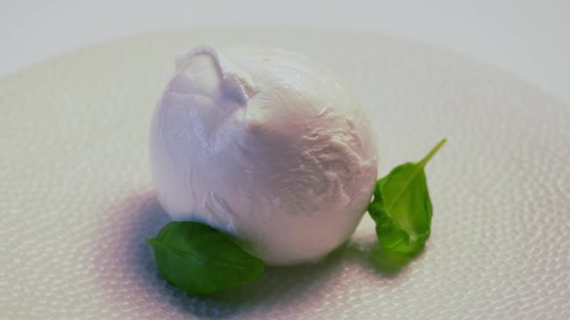 Soft white italian mozzarella cheese rotating on white plate