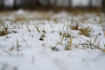 a small amount of snow on the ground and green grass sticking out from under it. winter with little snow
