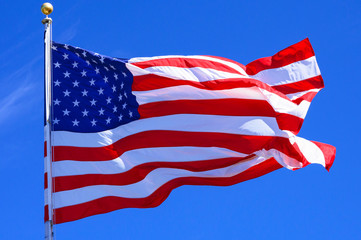 USA Flag