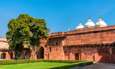 Fototapeta premium Defensive walls of Agra Fort. UNESCO heritage site in India