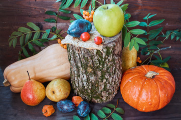 pumpkins, apples, pears, plums next to stump on wooden background